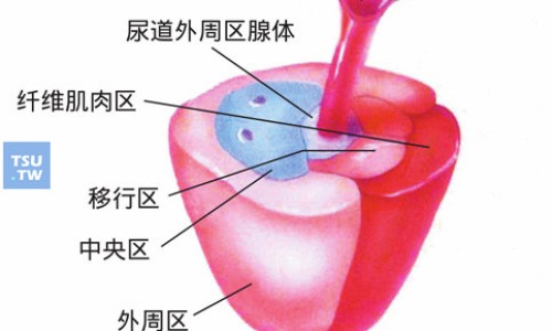 吃泰尔丝胶囊的副作用-吃泰尔丝胶囊网—知名的吃泰尔丝会导致不孕吗网站,分享吃泰尔丝胶囊的副作用知识